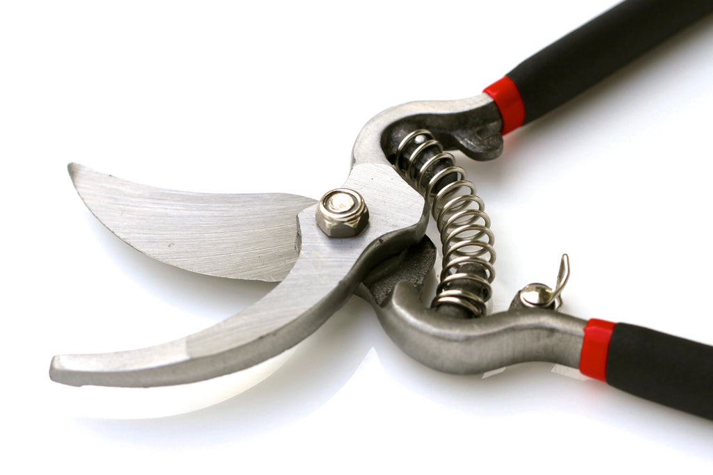 Classic Bypass Pruning Shears Clippers (Black)