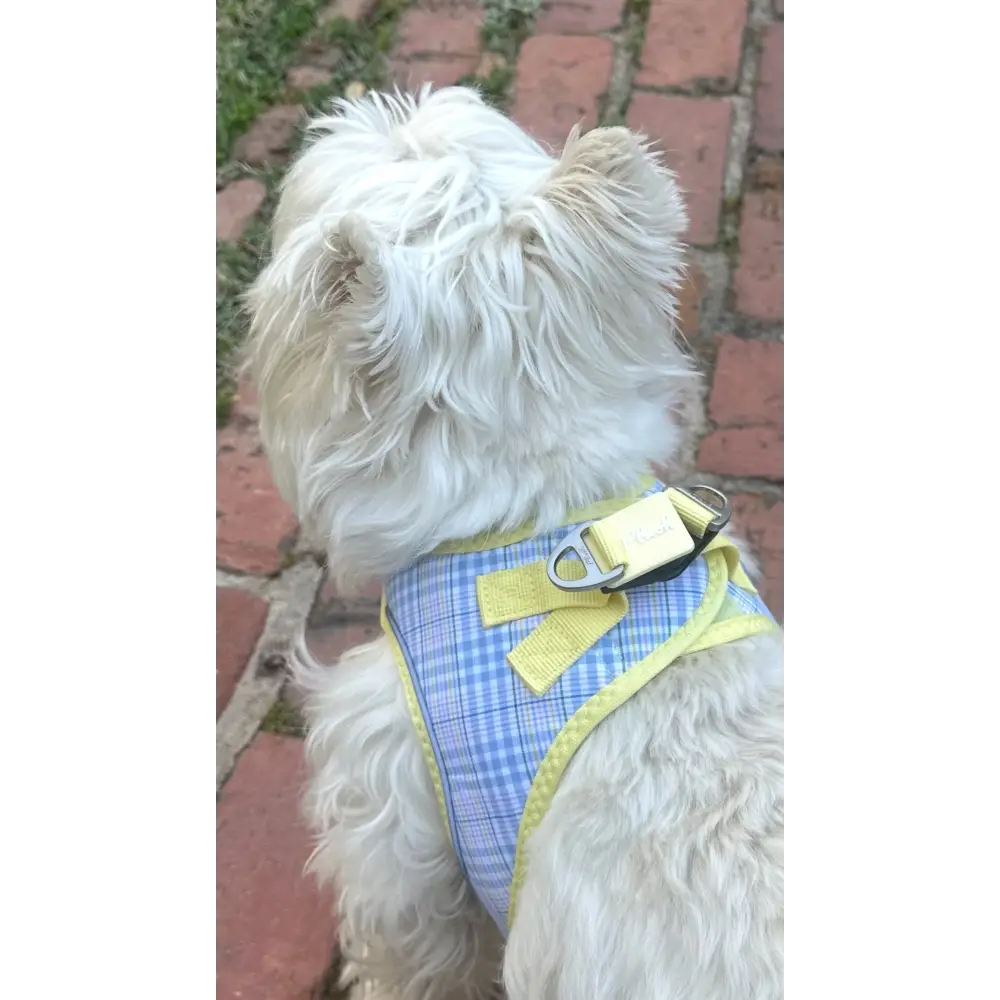 Plush Step In Harness Spring Plaid